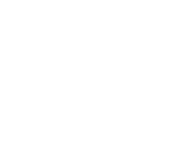 Enigma Analytics
